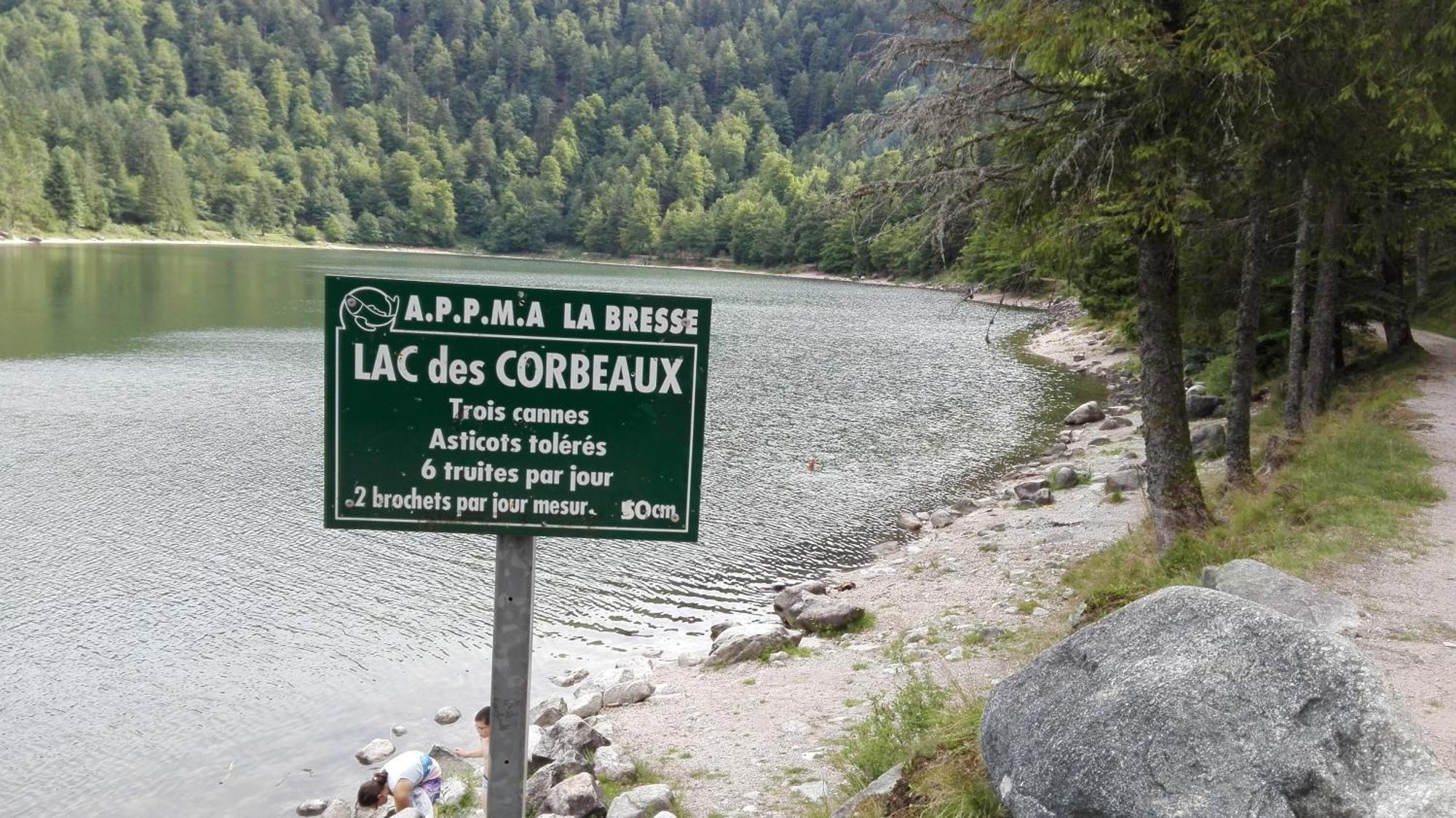 La Bressaude - Vacances-En-Vosges - Menage Compris 라브레세 외부 사진